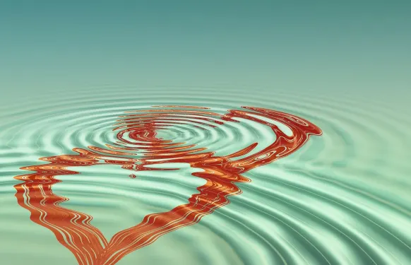 Casino Barbados Bingo Ondersteuning